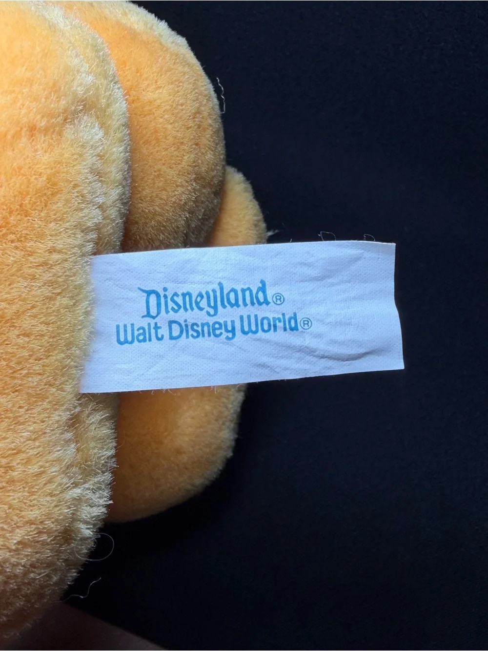 Vintage Winnie the Pooh Disneyland Walt Disney World 8